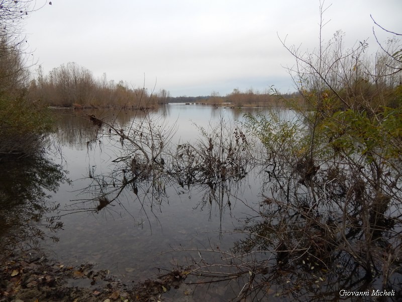 Parco del Ticino 23/11/13